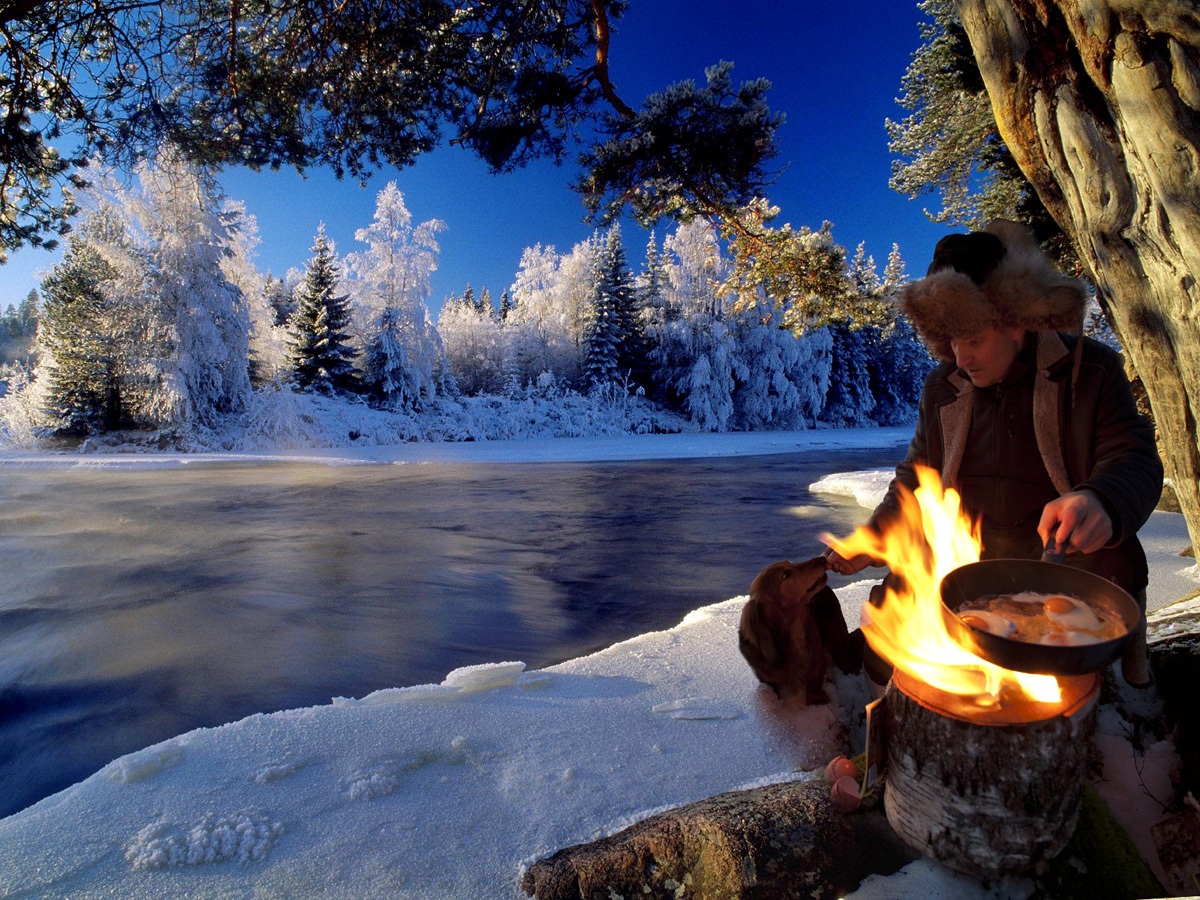 Light n’ Go Bonfire Log The Coolector