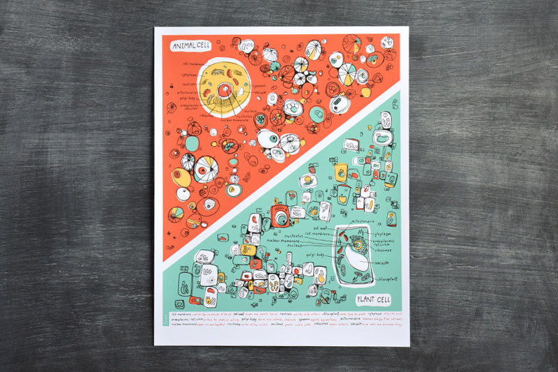 full_cells_web_1024x1024