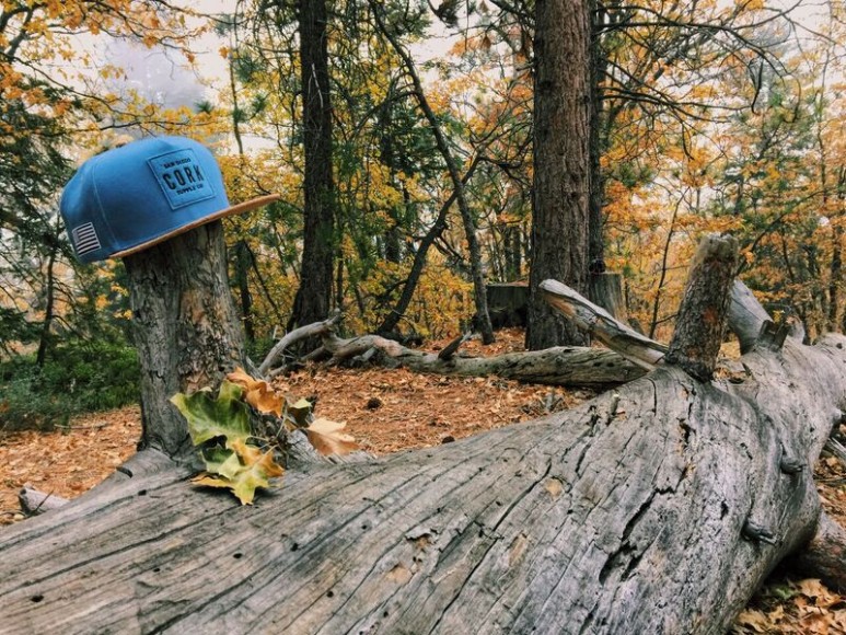 Cork Supply Co Caps The Coolector