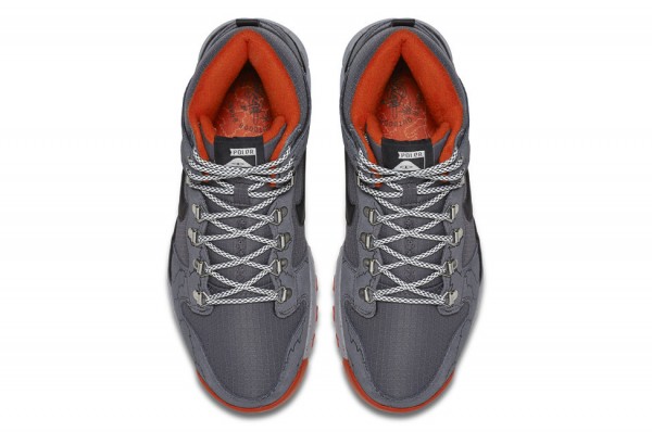 nike sb x poler