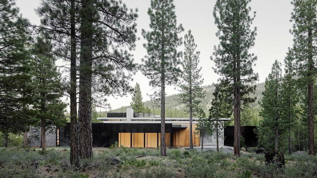 Creek House The Coolector