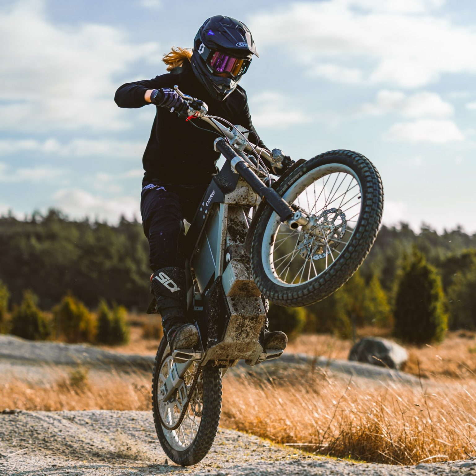 Cake Kalk INK eBike The Coolector