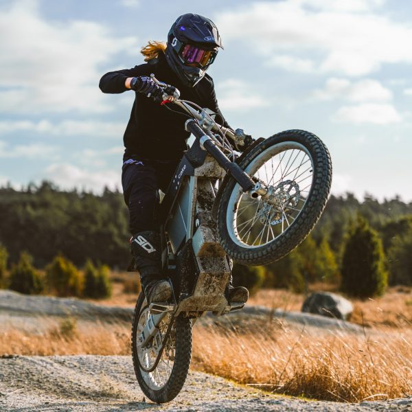 Cake Kalk INK eBike The Coolector