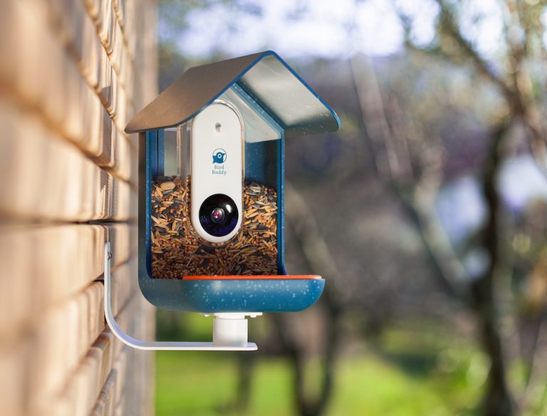 Bird Buddy Smart Bird Feeder The Coolector