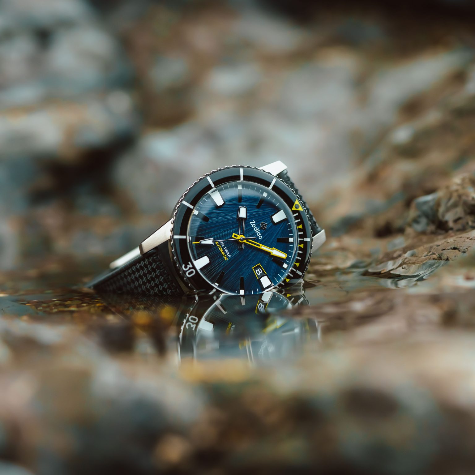 zodiac huckberry seawolf