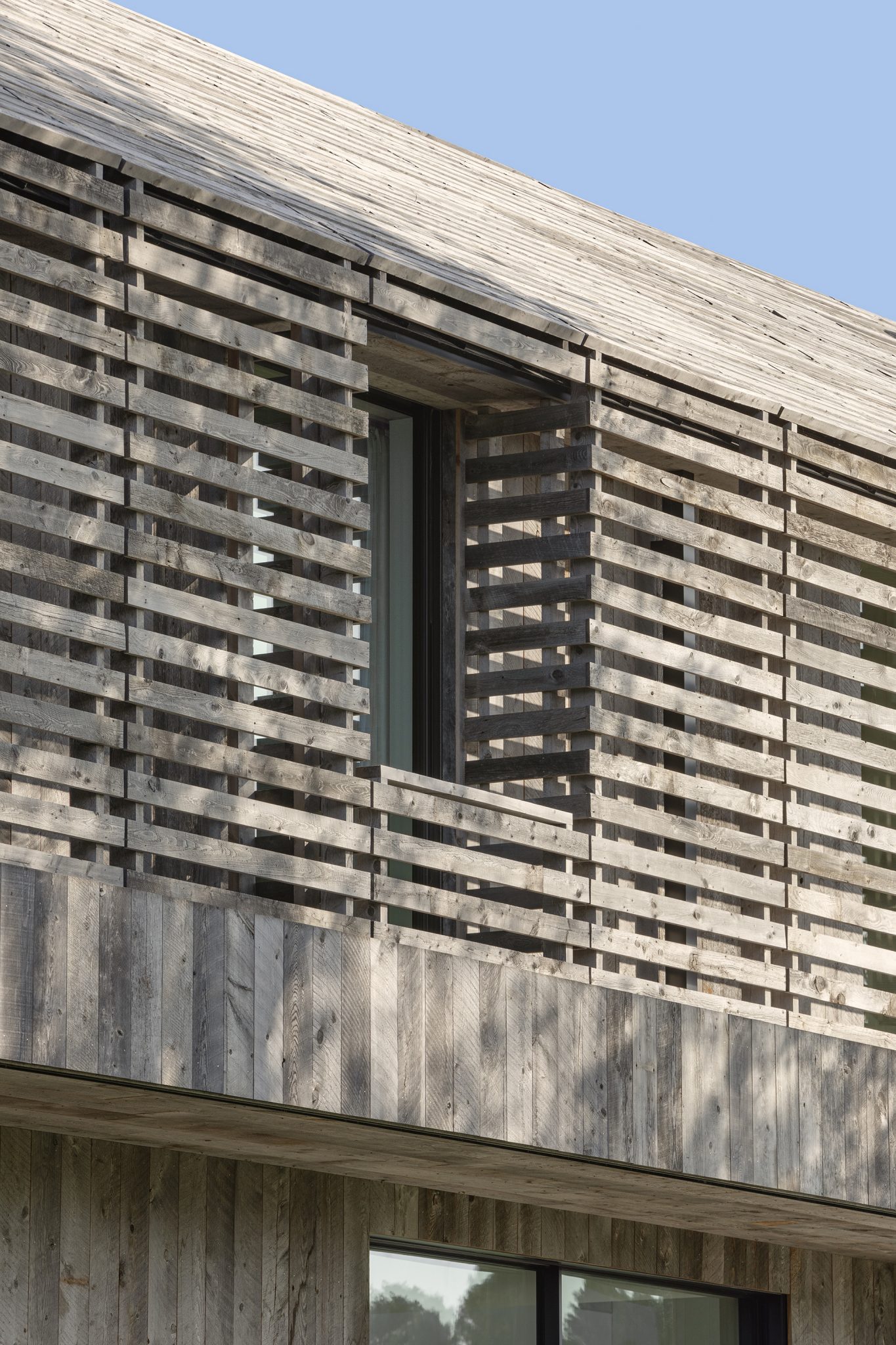 Lath House The Coolector