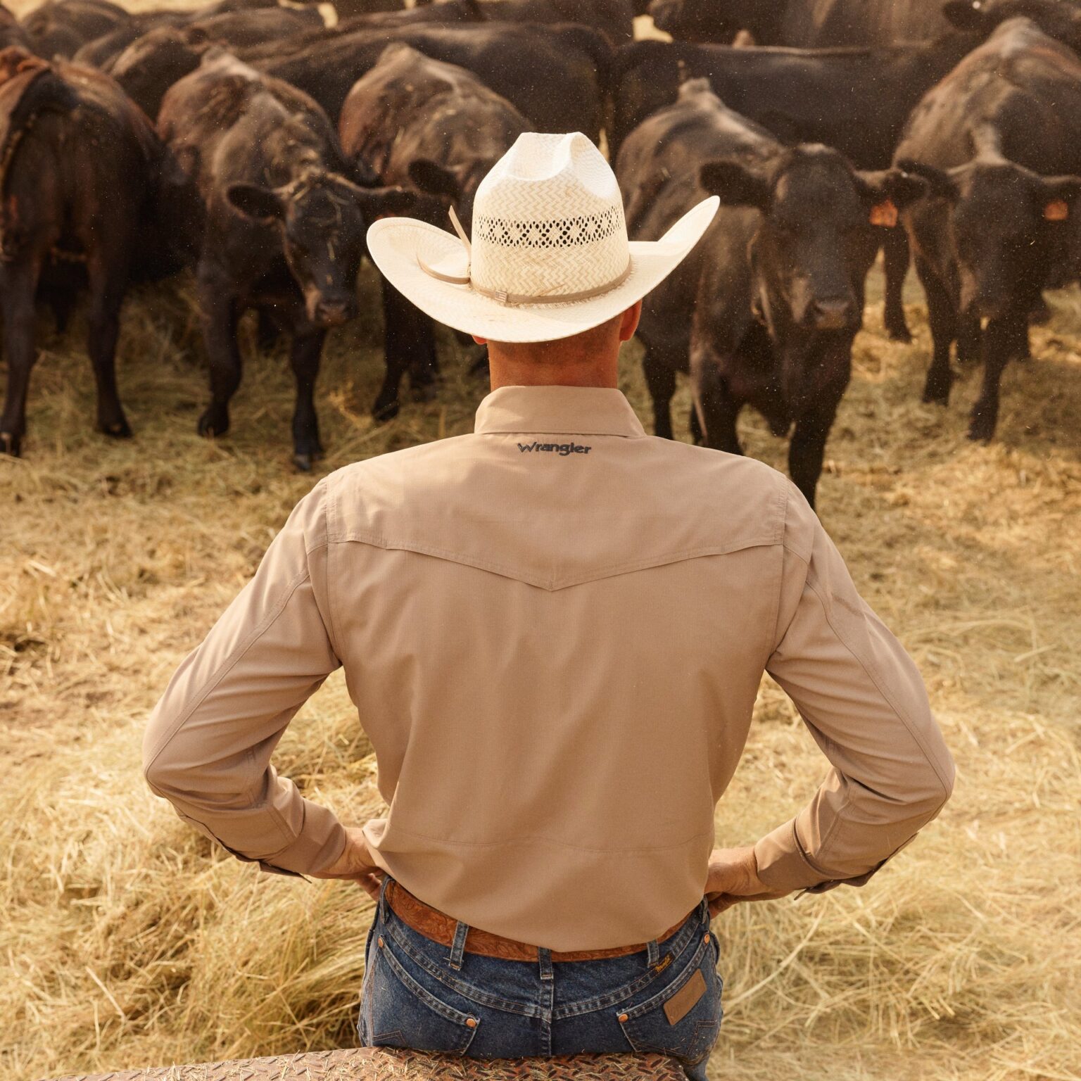 8 of the best American men’s workwear brands The Coolector